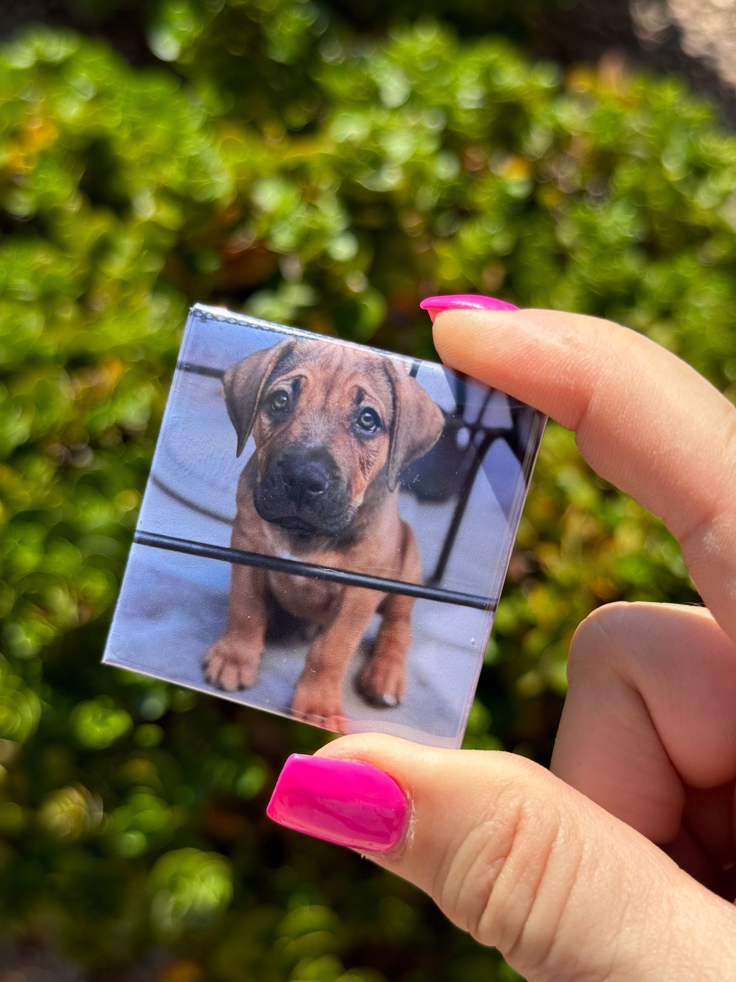 9 Custom Photo Magnets 3x3